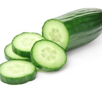 Concombre